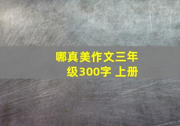 哪真美作文三年级300字 上册